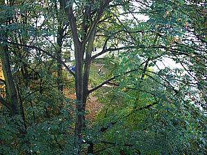 Bild von Apartamento Berlin centro