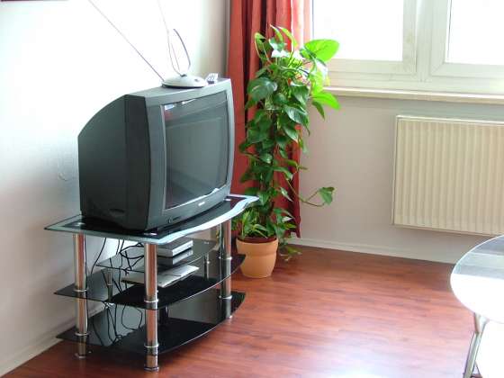 Bild von Ferienwohnung Berlin Mitte mit 30m²