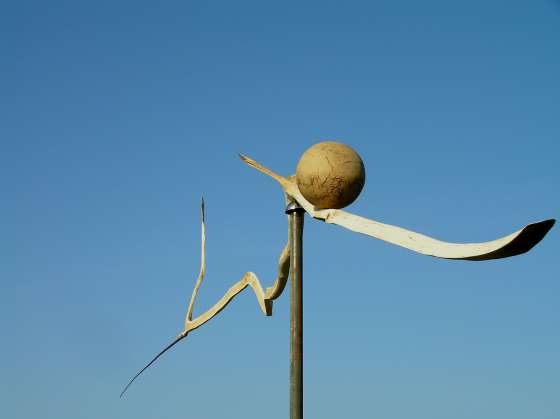 Wind in sicht